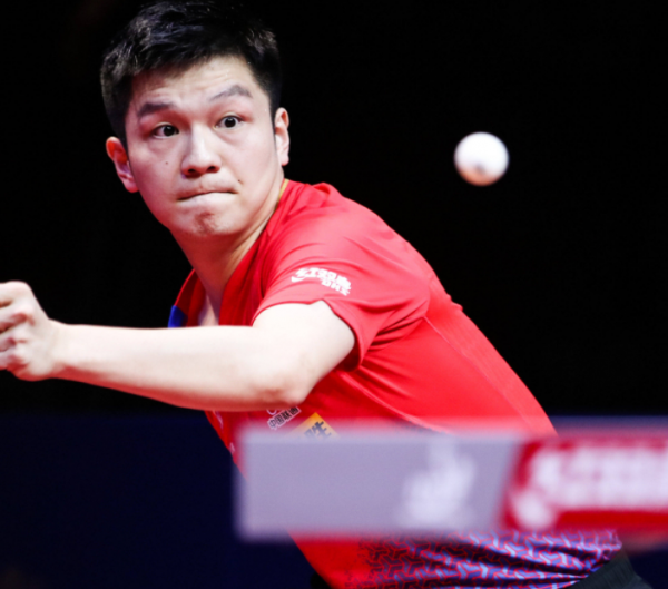 乃至整个足 乃至整个足